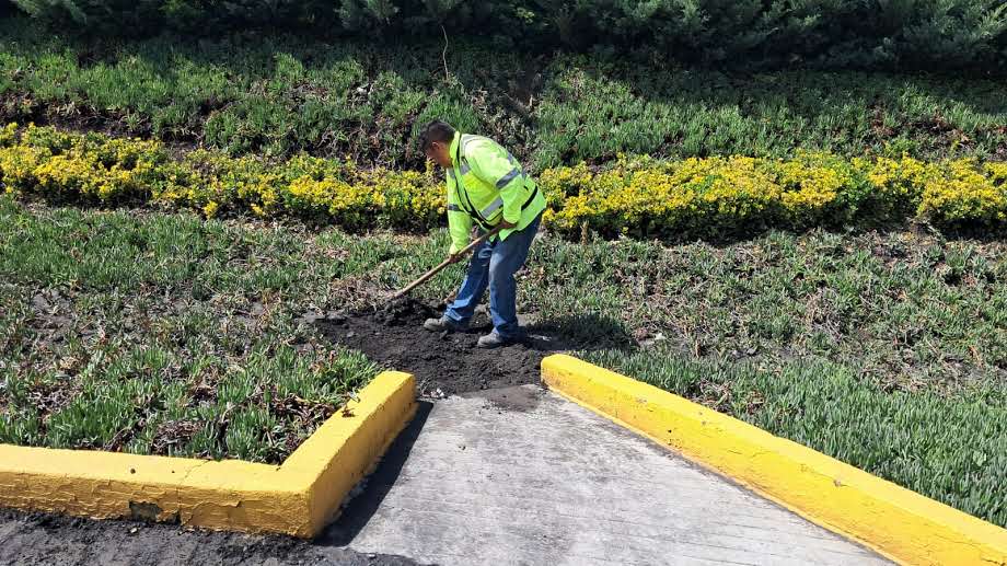 Imagen 22