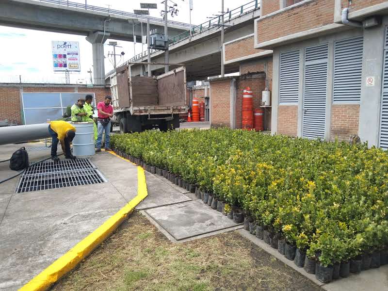 Imagen 30