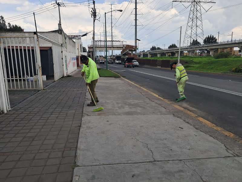 Imagen 6