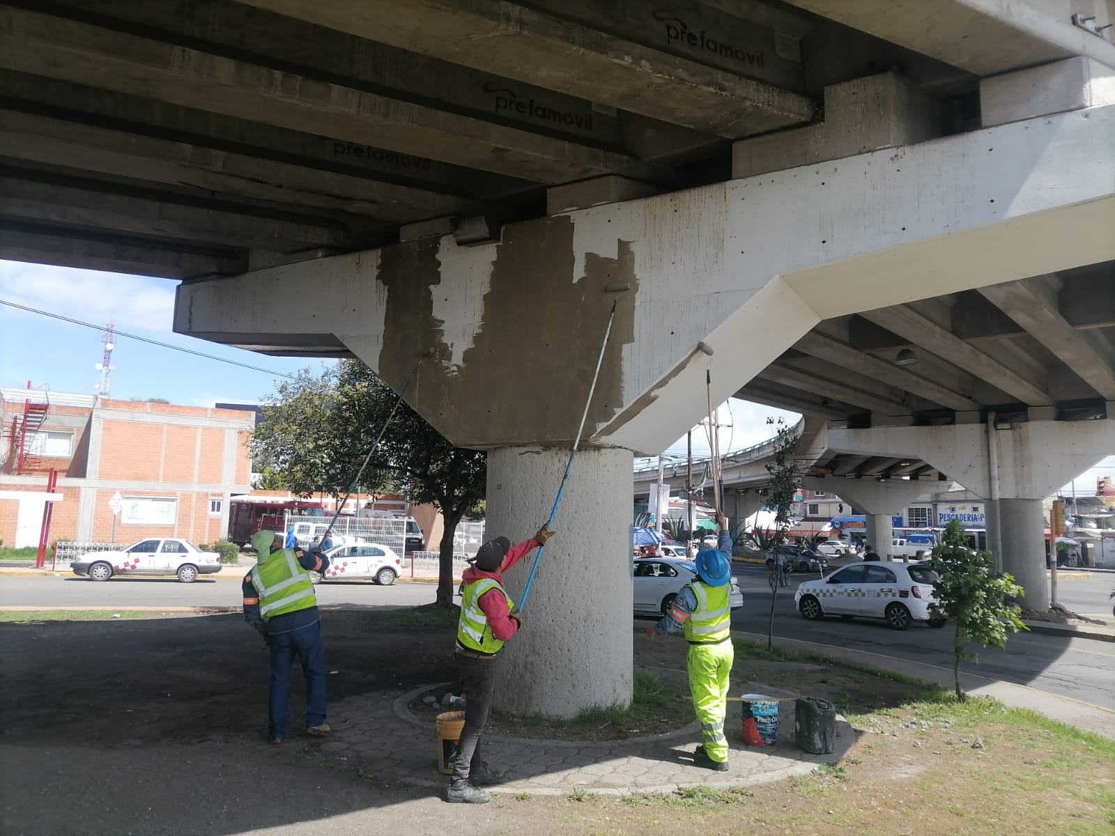 Imagen 11