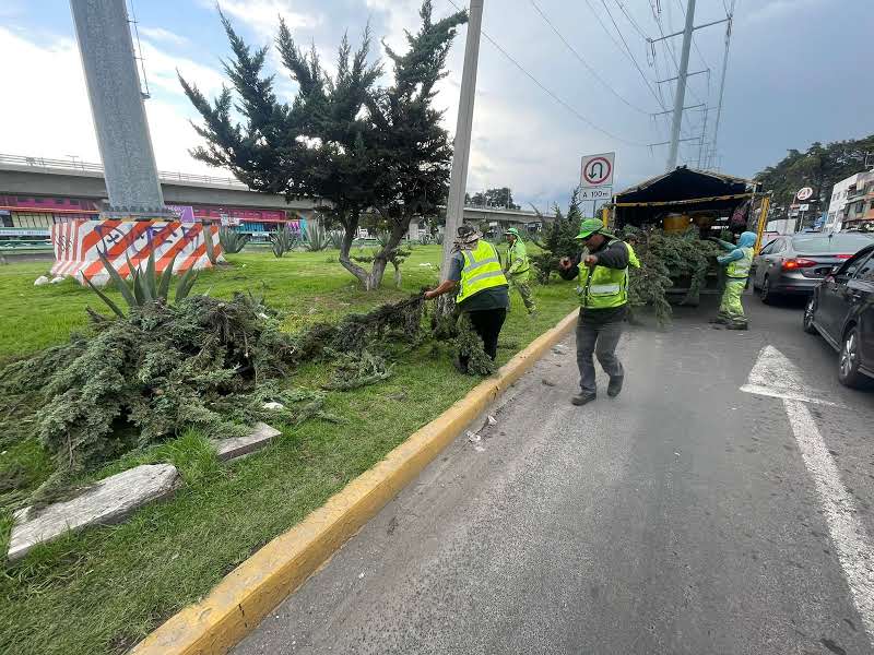 Imagen 22