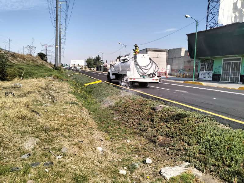 Imagen 14