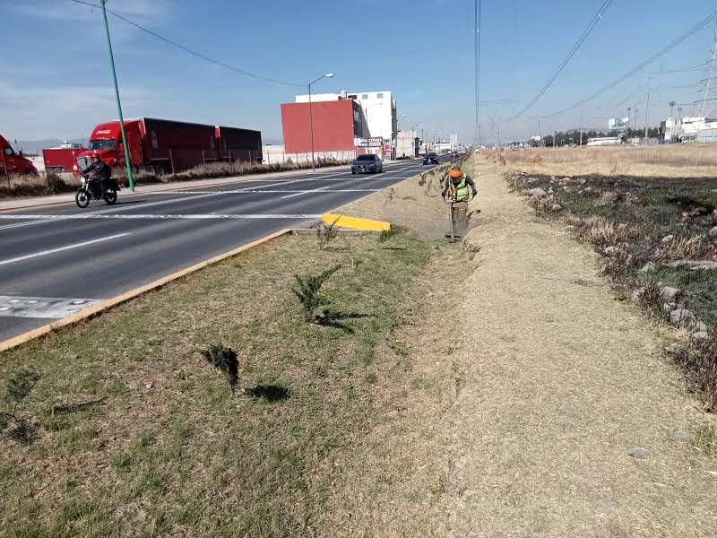 Imagen 7
