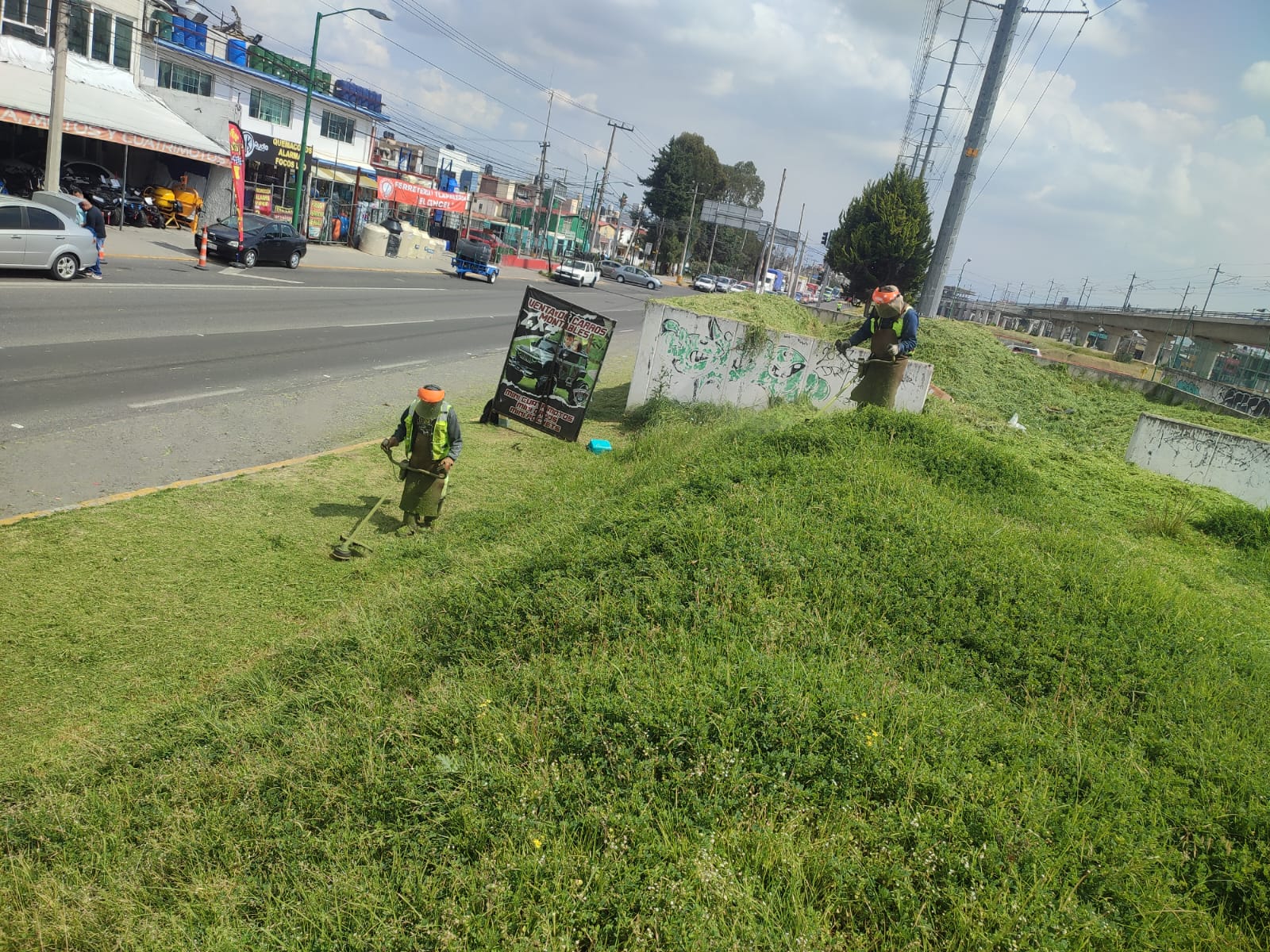 Imagen 21