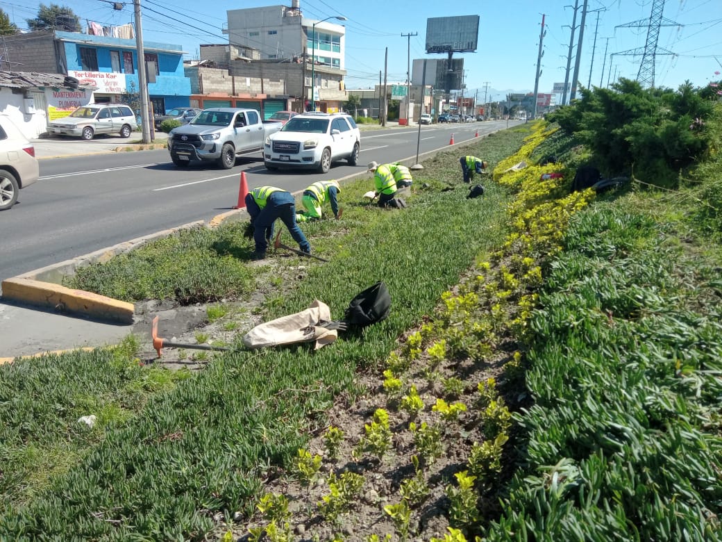 Imagen 44