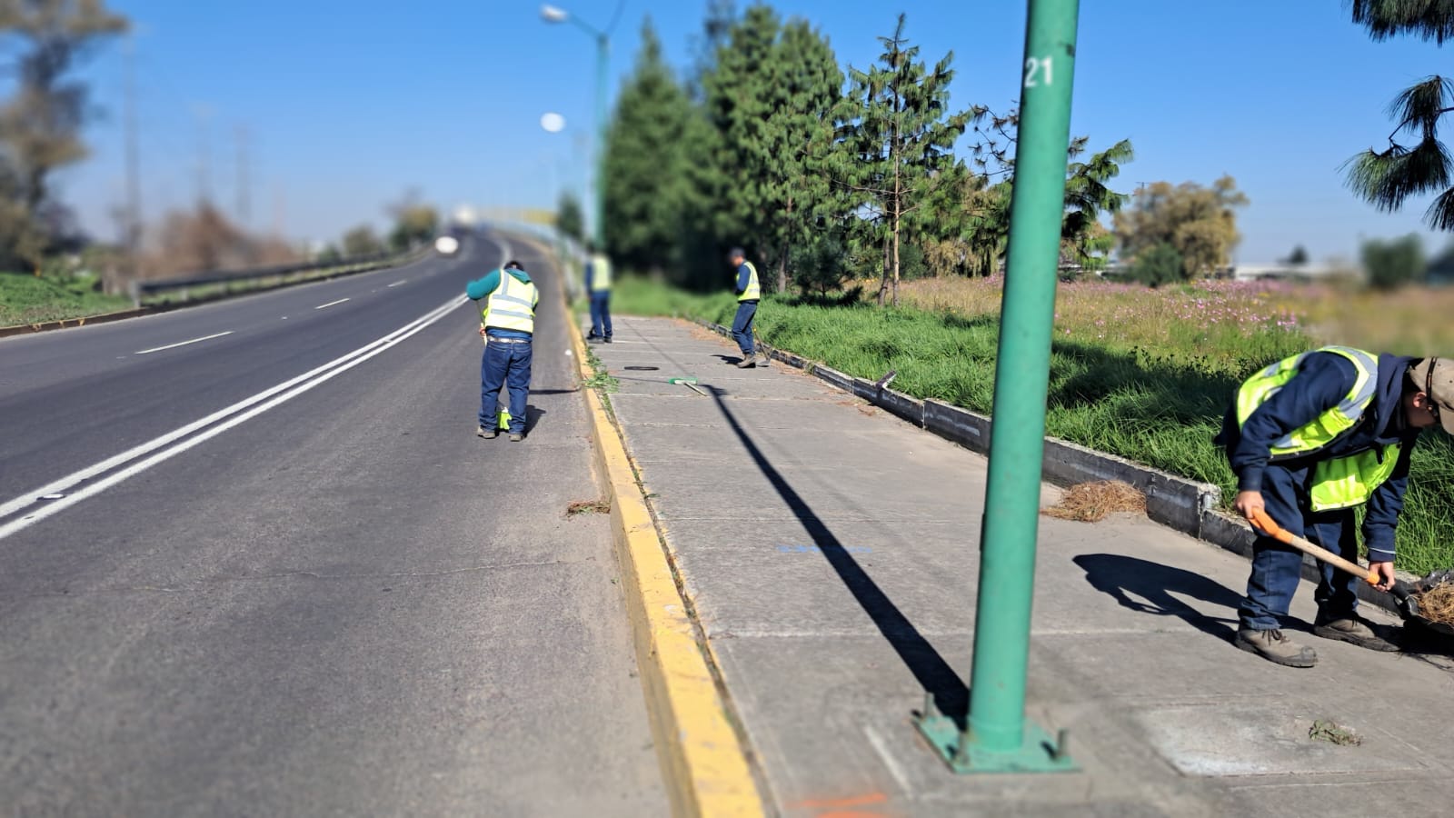 Imagen 45