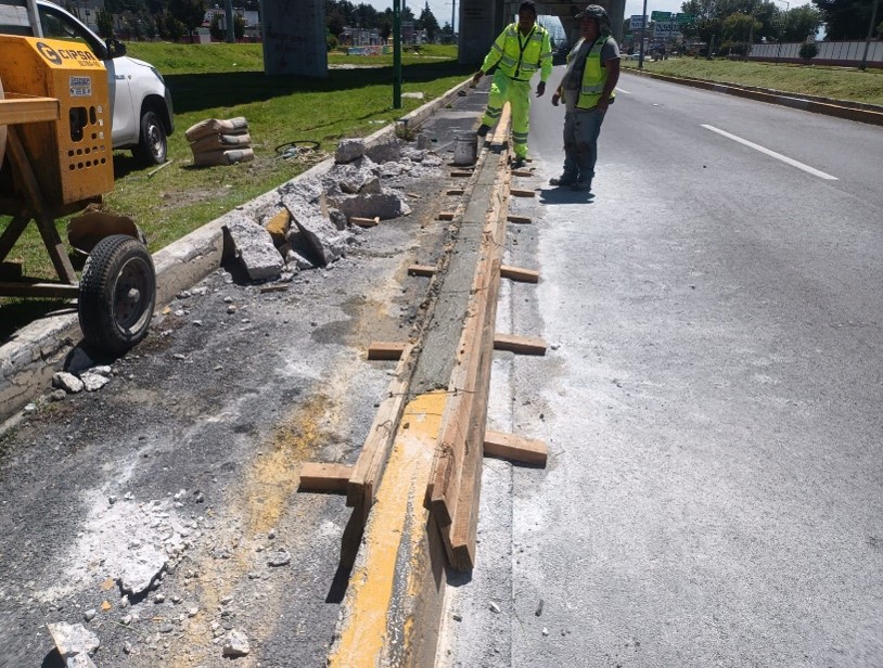 Imagen 5