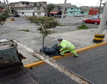 Imagen 16