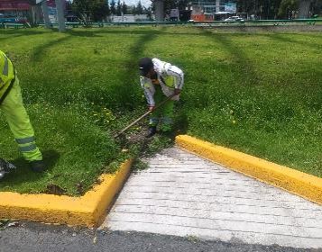Imagen 5