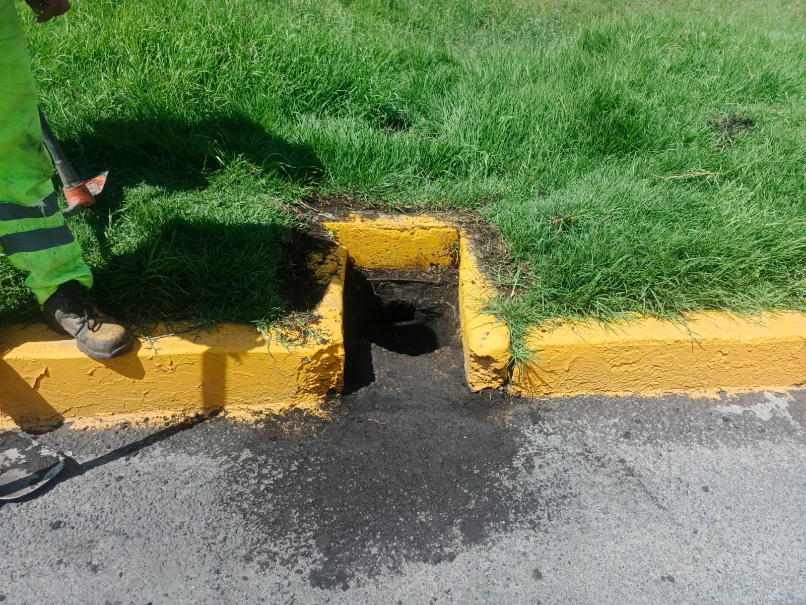 Imagen 11