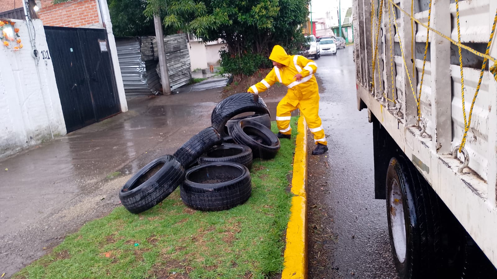 Imagen 14