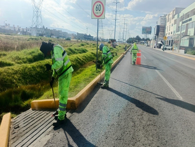 Imagen 6