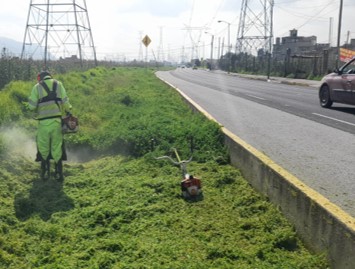 Imagen 16